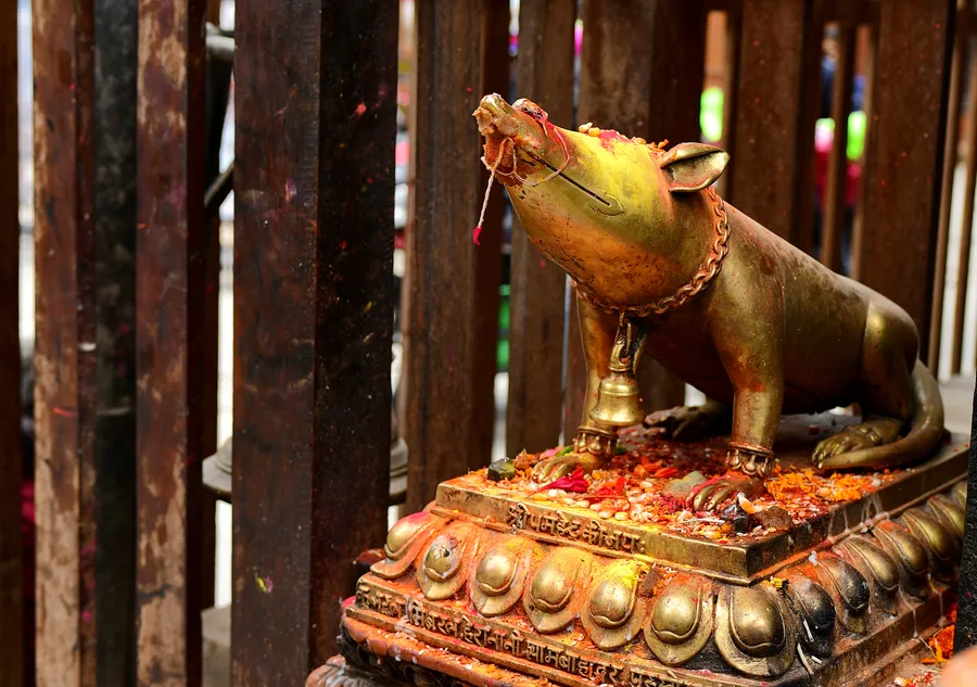 A gilded mouse statue, offered flowers and vermillion, at a shrine near the Ashok Binayak temple in Kathmandu.