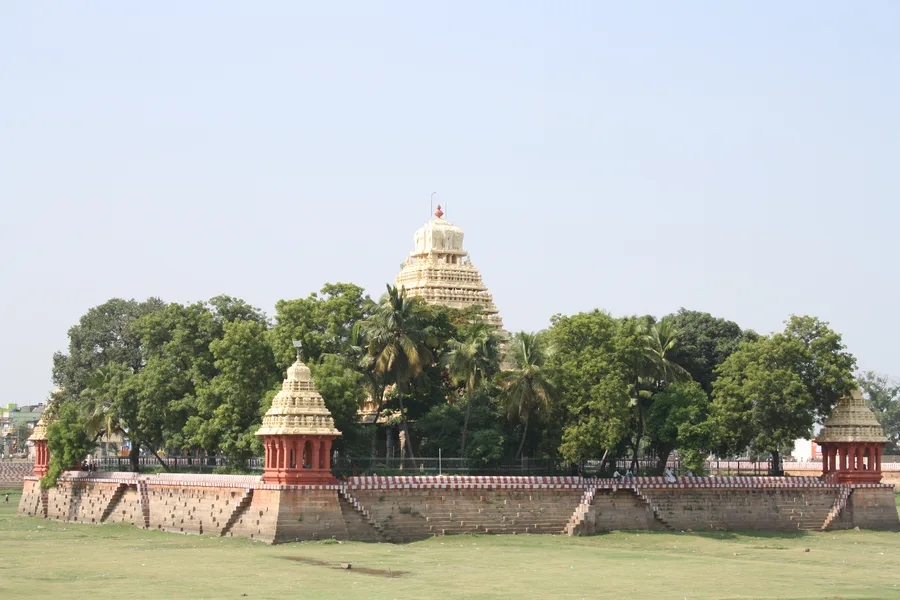 The golden-hued gopuram of the Vandiyur Mariamman Teppakulam tank complex in Madurai, seen amid palm trees.